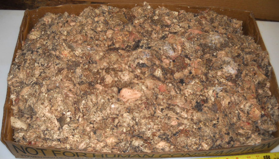 BEEF--TRIPE--GREEN--COARSE GRIND--BOXED 50 LB
